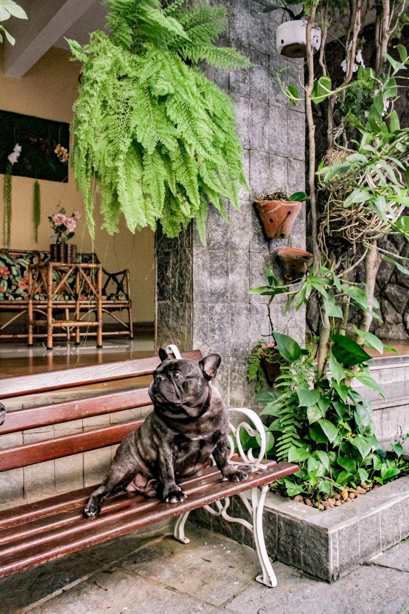 Hotel Primavera Betim Bagian luar foto